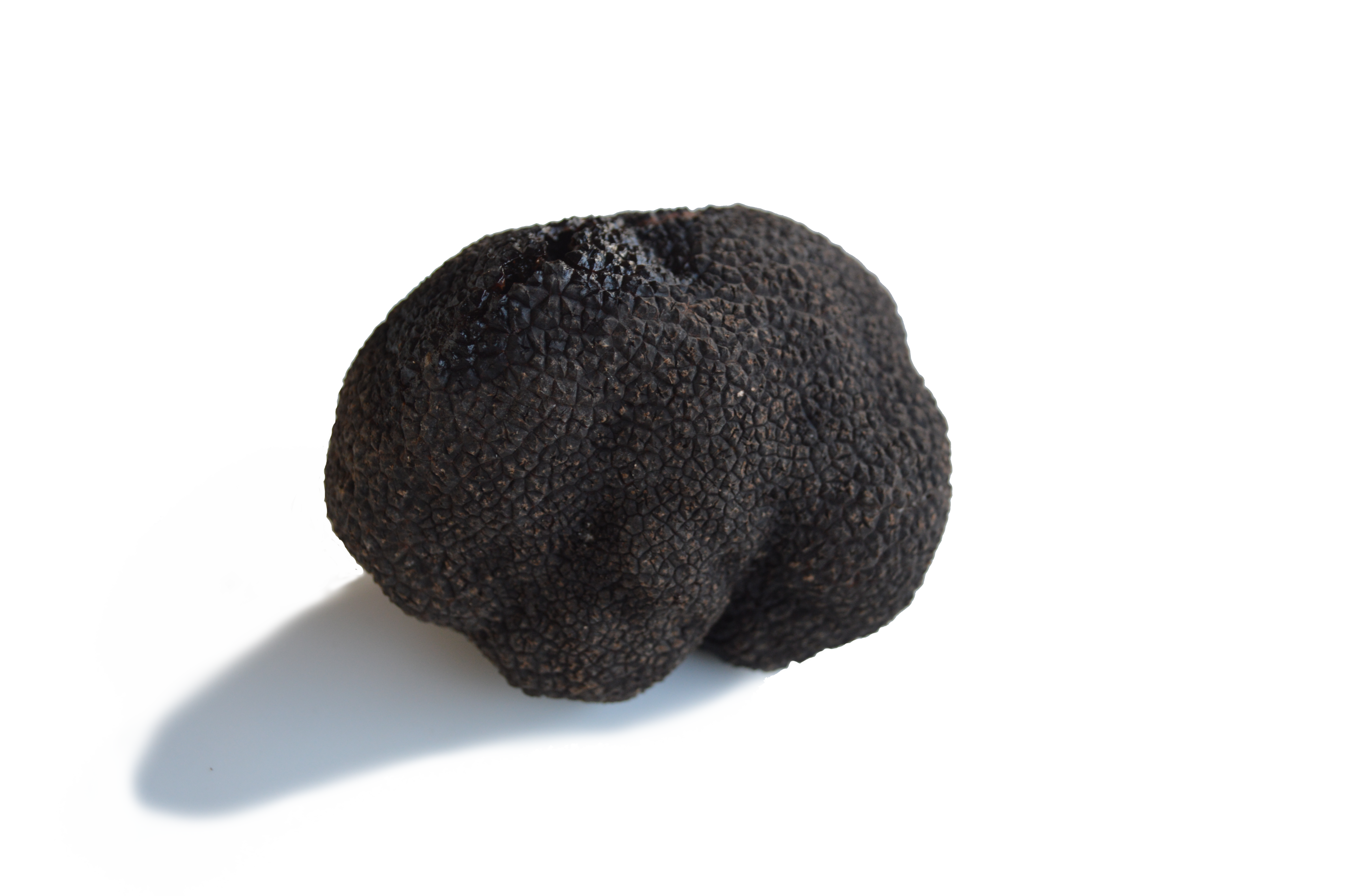 truffe-noire-fraîche-entière-tuber-melanosporum-60g
