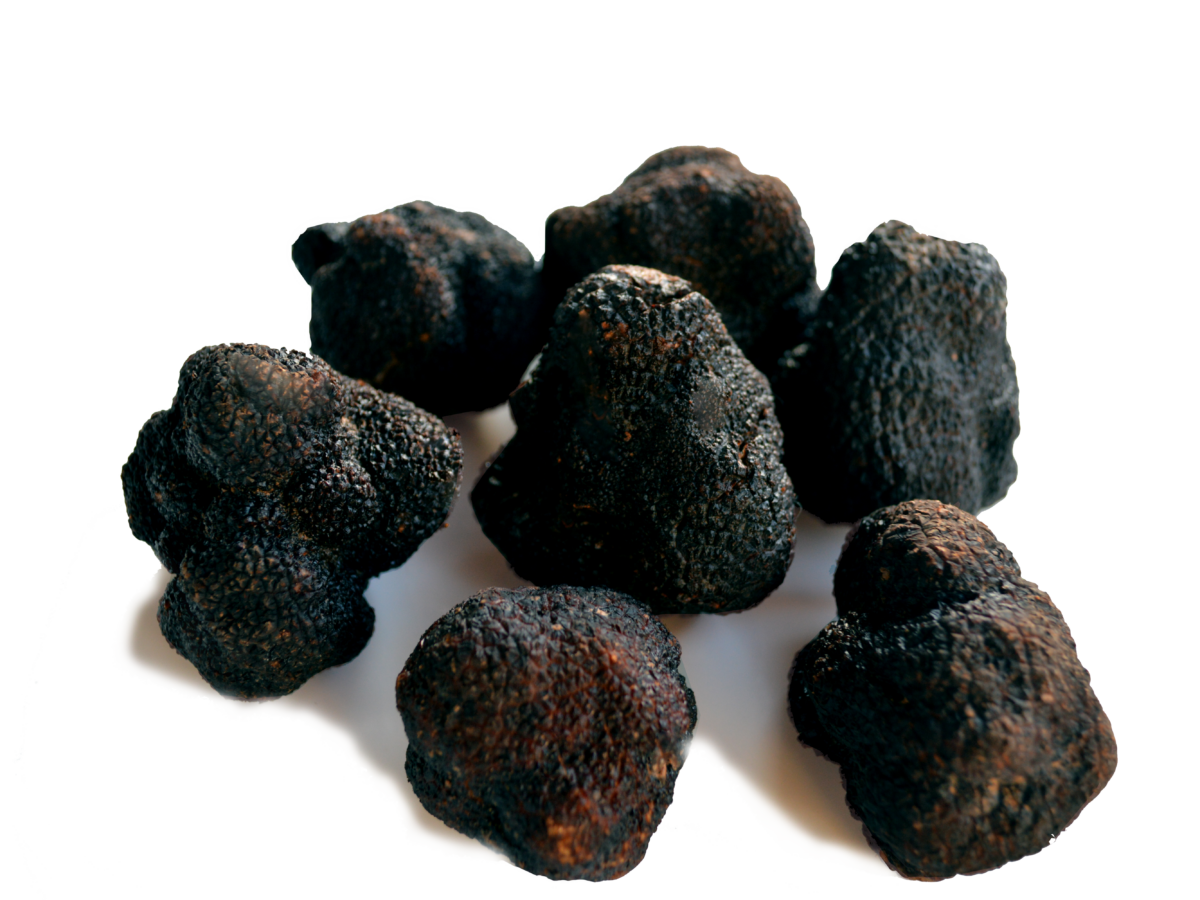 Black truffle 1Kg - Trufas Farré Vidal