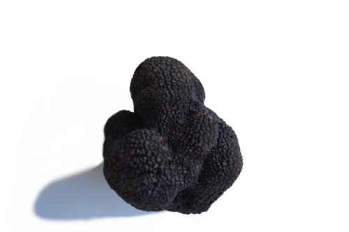Truffe Noire avec Trancheuse 40g